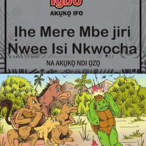 Ihe mere mbe ji nwe isi nkwocha book cover